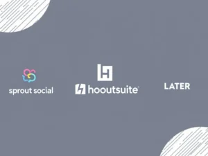 Sprout Social Vs Hootsuite Vs Later